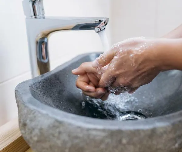 Apartamento Orth Lassing (Mostviertel)